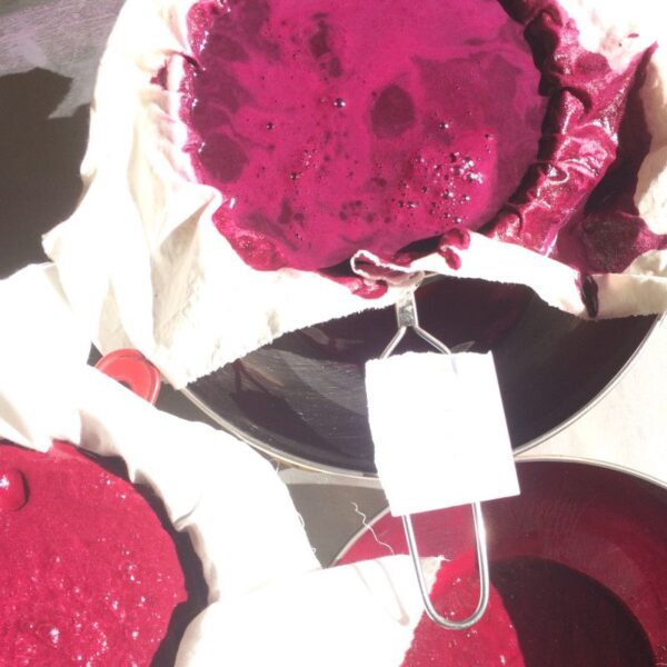 Formation : Fabrication de pigments organiques Formation : Fabrication de pigments organiques