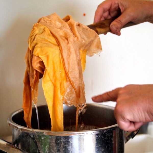 Formation : Initiation à la teinture végétale Formation Initiation à la teinture végétale - 5 jours