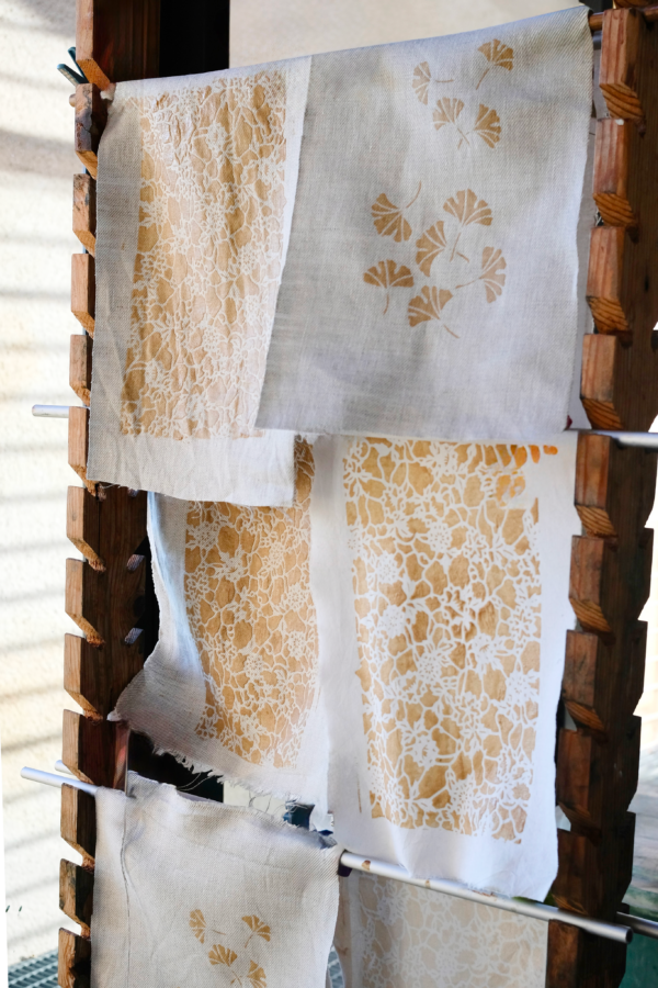 DSCF0503 13 DSCF0503 13