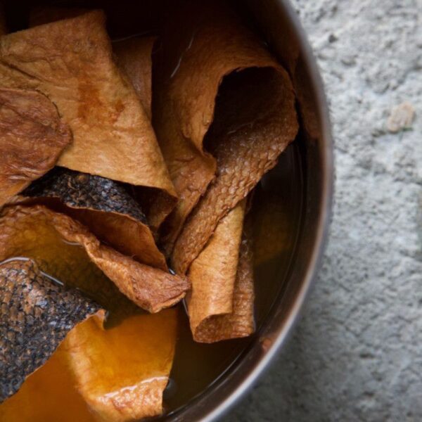 Formation Tannage végétal et teinture naturelle sur cuir de poisson Formation Tannage végétal et teinture naturelle sur cuir de poisson