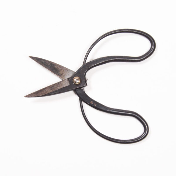 Ciseaux cueillette Ciseaux cueillette