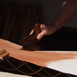 Formation : Kakishibu, recherches et applications au Japon